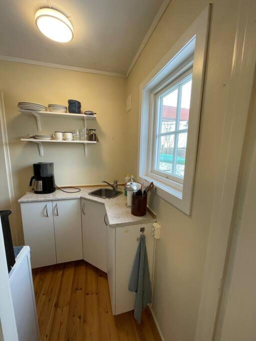 Apartament With Access To Garden, Central, Quiet And With Free Parking Fredrikstad Exterior photo